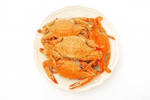 steamed-crabs-white-background_1232-3350.jpg (626×417)