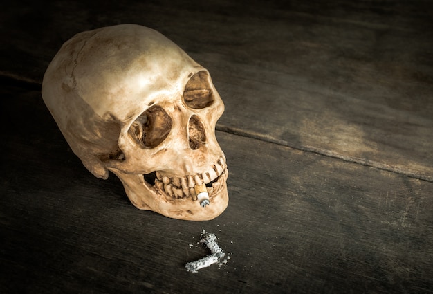 Still life skull of a skeleton with burning cigarette, stop smoking campaign concept with copy space. Premium Photo