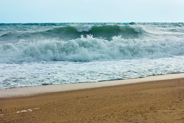 Stormy sea and blue sky, white sea foam on a yellow sandy beach. Premium Photo