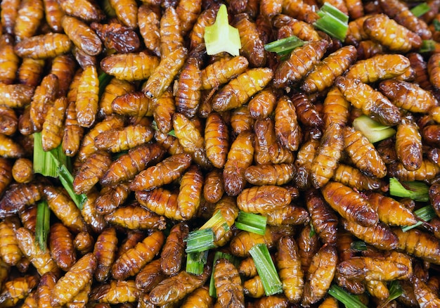 Premium Photo | Strange insects fried food taste good food from thailand.