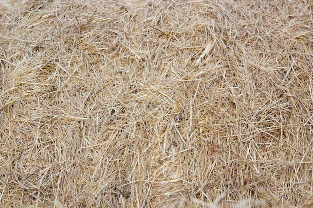 Premium Photo | Straw bale texture