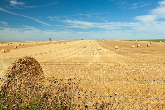 Free Photo | Straw field landscape with blue sky