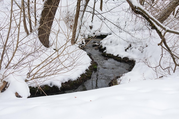 Premium Photo | Stream in winter forest among snow and bare trees