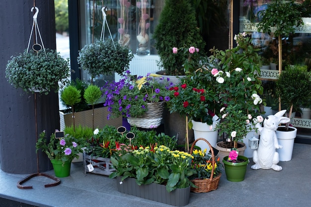 フラワーショップのストリート居心地の良い装飾 さまざまな鉢植え 花屋の入り口近くの苗 プレミアム写真