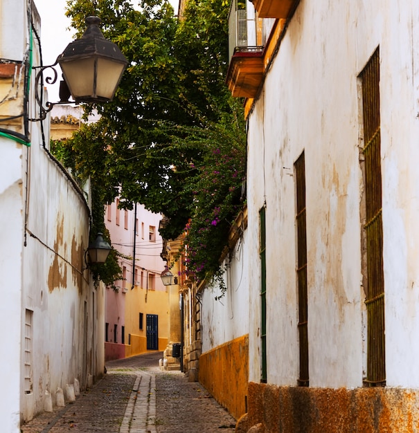 Premium Photo | Street in old city. jerez de la frontera