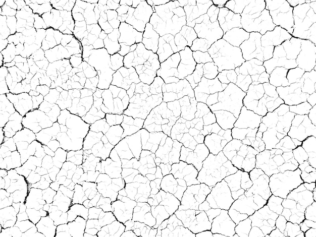 白地にひびの入った土壌地盤テクスチャ プレミアム写真