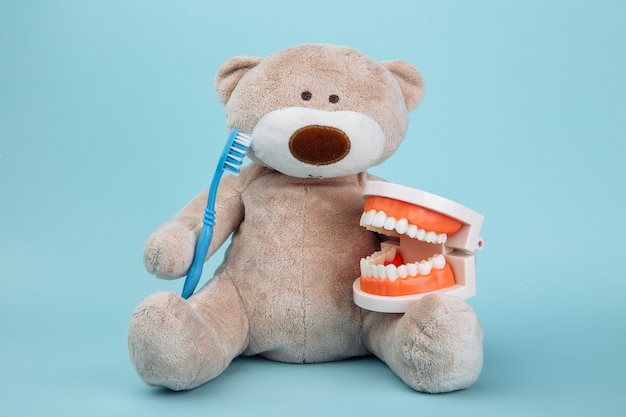 Premium Photo | Stuffed bear animal with toothbrush as a symbol of ...