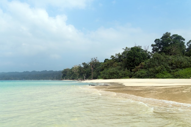 Premium Photo | Stunning view of elephant beach near radhanagar beach ...