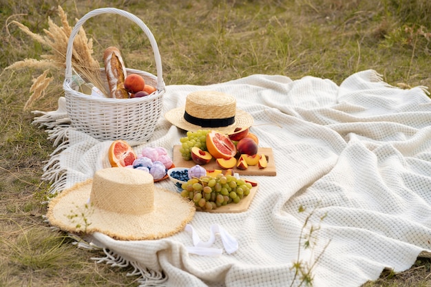 stylish picnic blanket