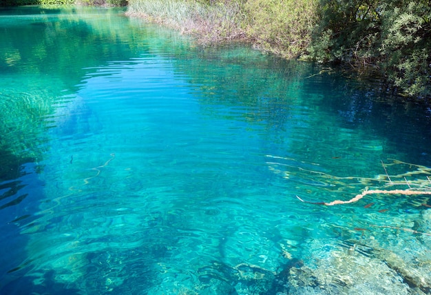 Premium Photo | Summer azure limpid transparent lake view (plitvice ...