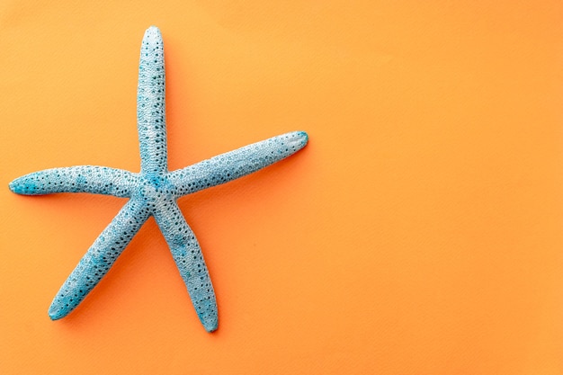 Premium Photo | Summer background starfish on orange background