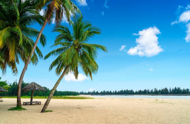 Premium Photo Summer Beach Landscape