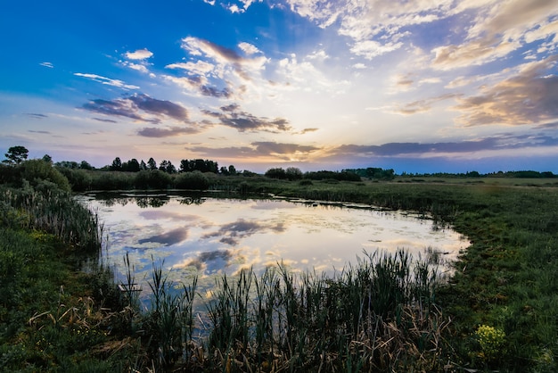 Premium Photo | Summer landscape with a pond in the field with a ...