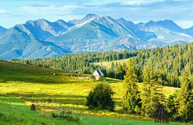 ポーランドのタトラ山脈の近くに納屋と羊の群れがある夏の山間の村の郊外 プレミアム写真