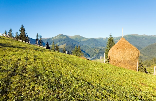 Premium Photo | Summer mountain village outskirts with field and haystack