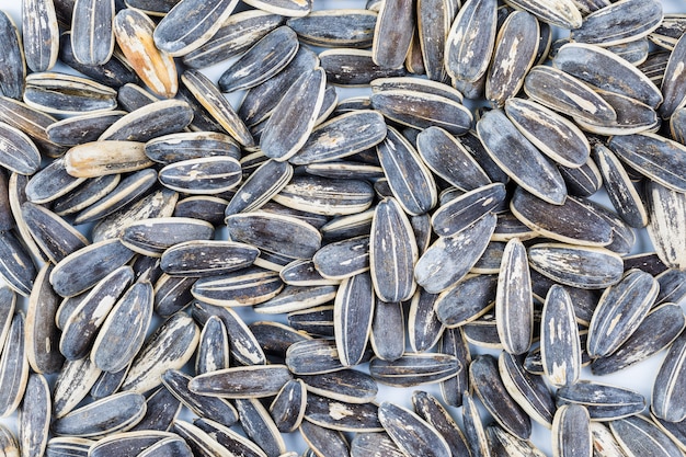 Premium Photo | Sunflower seed for nature background
