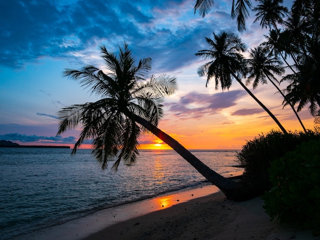 Premium Photo | Sunrise dramatic sky on sea, tropical desert beach ...