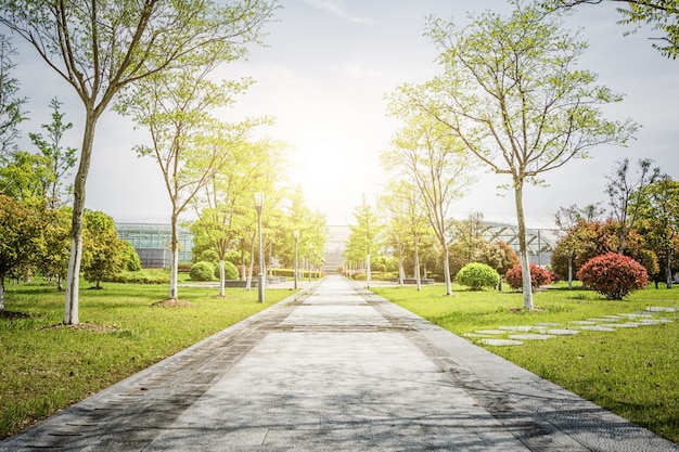 公園 画像 無料のベクター ストックフォト Psd