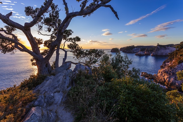 Premium Photo Sunrise At Te Pare Point At Hahei In New Zealand 8775