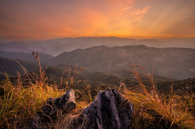 Premium Photo | Sunset at doi pha tang mountain