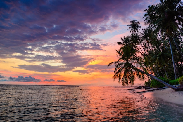 Premium Photo | Sunset dramatic sky on sea, tropical desert beach