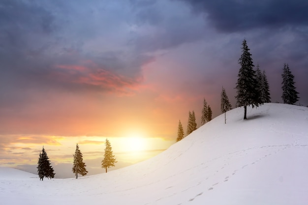 冬の鮮やかな色とりどりの夕方の空の下で山の丘とトウヒの木と雪の谷と夕日の風景 プレミアム写真