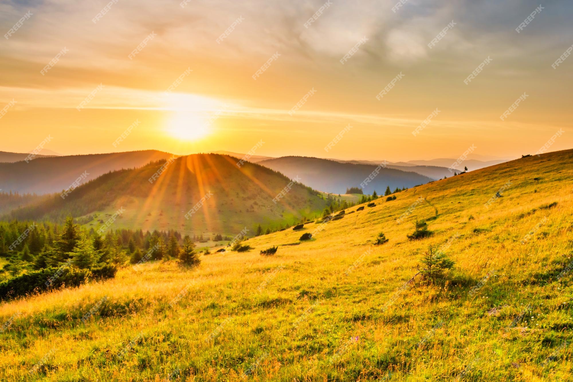 premium-photo-sunset-in-the-mountains-with-forest-green-grass-and