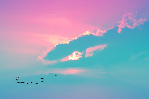 夕方の夕日空の明るいパステルカラーの雲と家に飛んでいる鳥 プレミアム写真