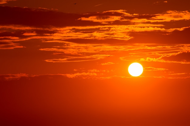 夕方の夕焼けのオレンジ色の空の背景 プレミアム写真