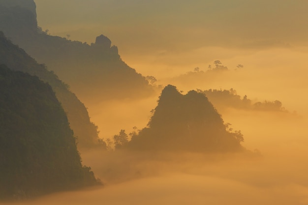 Premium Photo Sunshine And Clouds On The Morning Mist At Phu Lang Ka Phayao Thailand