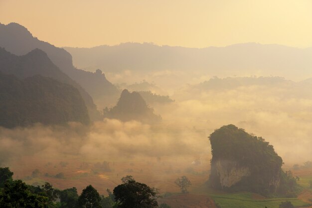 Premium Photo Sunshine And Clouds On The Morning Mist At Phu Lang Ka Phayao Thailand