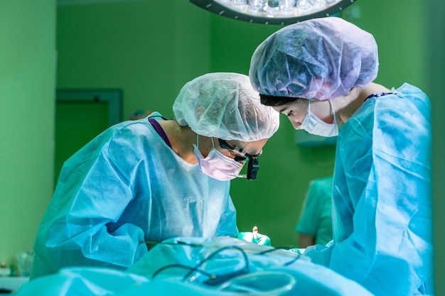 Premium Photo | Surgeon and his assistant performing cosmetic surgery ...