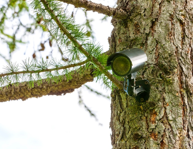 Surveillance camera on the tree | Premium Photo