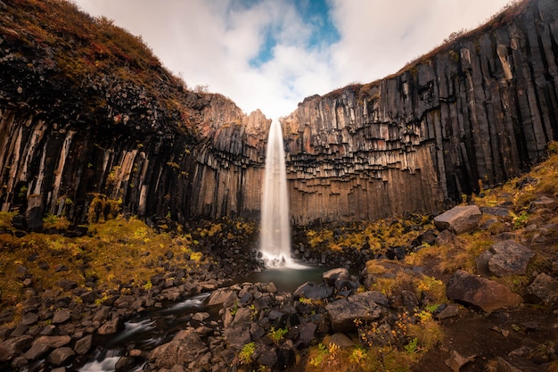 Premium Photo Svartifoss Waterfall In Skaftafell National Park In