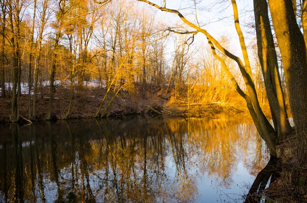 Premium Photo | Svisloch river flows in minsk and creates scenic spots ...