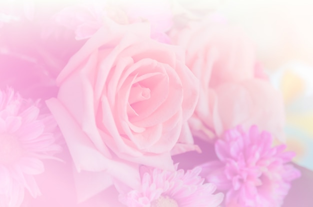 Premium Photo | Sweet pink rose flowers background