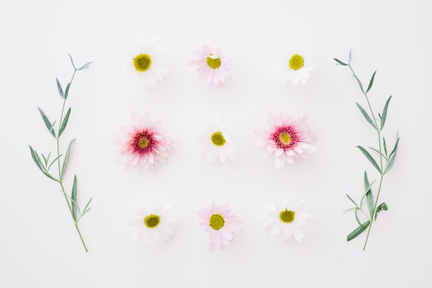 Free Photo | Symmetrical flower decoration