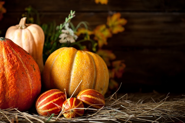 Premium Photo | Table decorated with vegetables and fruits