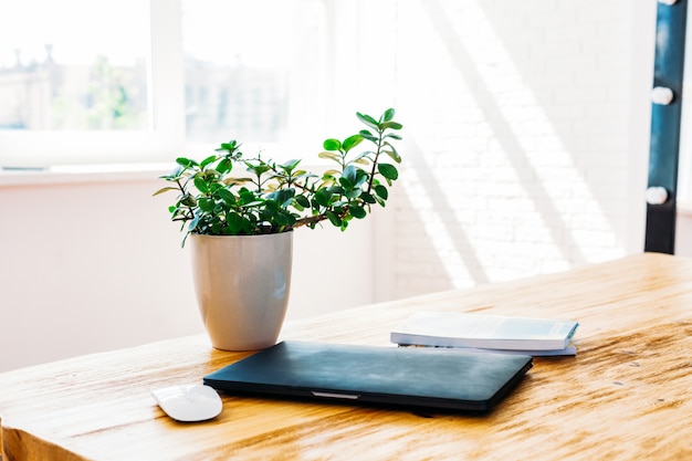 Premium Photo | Table laptop, computer, flower pot, laptop mouse, work ...