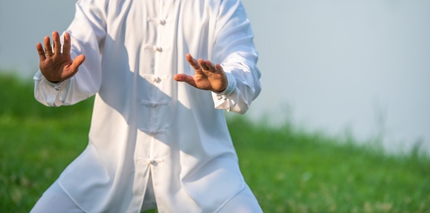 Tai chi chuan master workout in the park, chinese martial arts. Premium Photo