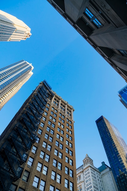 Tall office buildings in city Photo | Free Download