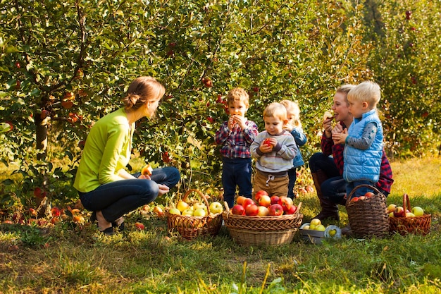 Premium Photo | Teacher with preschoolers in the apple garden. tasting ...