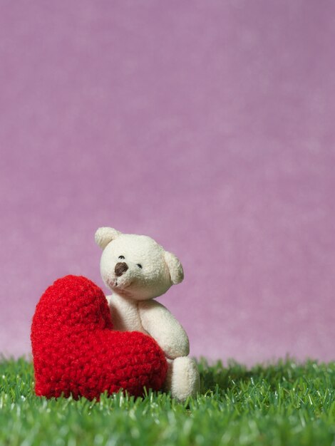 teddy holding a heart