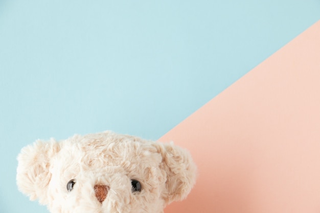 pastel teddy bear