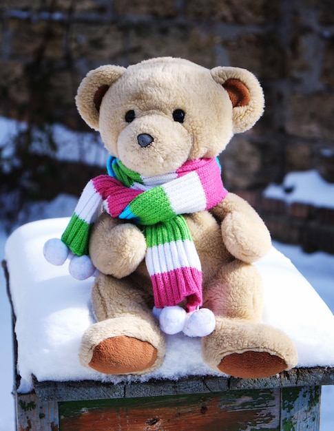 teddy bear with scarf