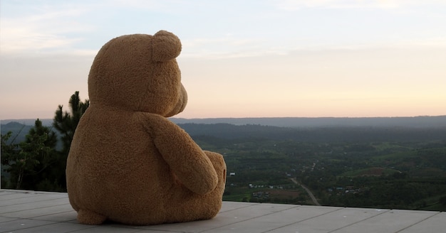 lonely teddy bear