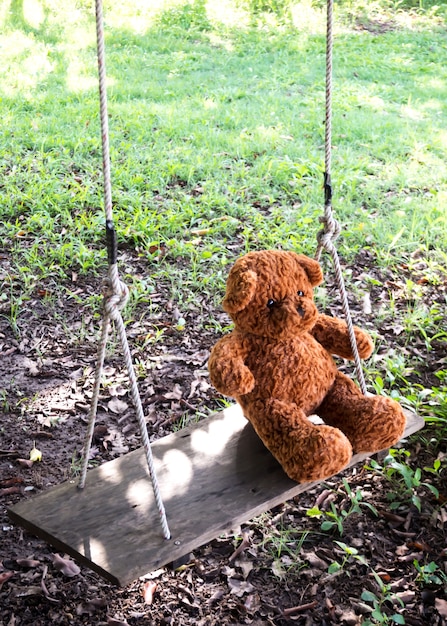 teddy bear swing