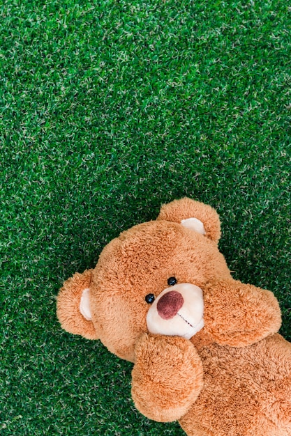 Download The teddy bear slept on the grass happy face | Premium Photo