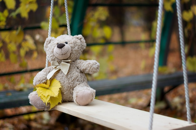 teddy bear swing