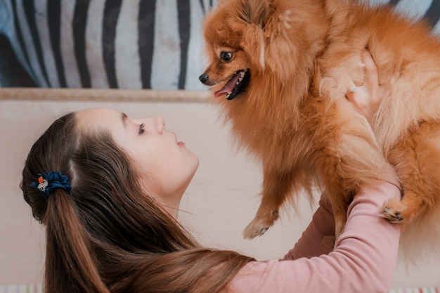 犬の品種スピッツと10代の少女は 床にペットを自宅で喜ぶ プレミアム写真